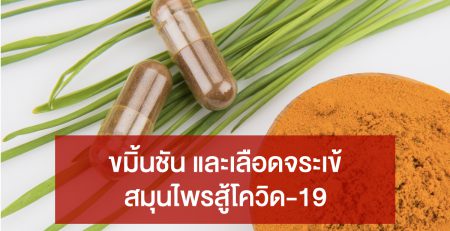 ขมิ้นชัน