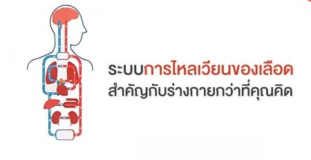 ระบบการไหลเวียนของเลือด