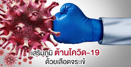 เสริมภูมิ ต้านโควิด-19 ด้วยเลือดจระเข้