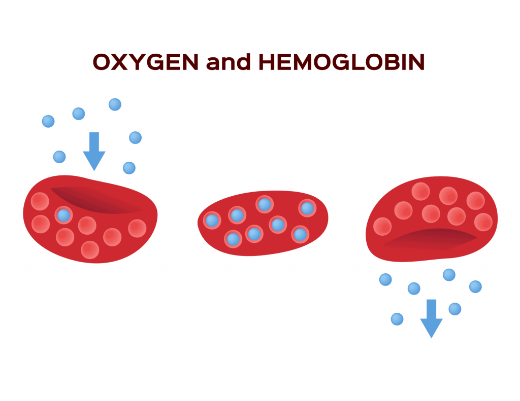 เพิ่มปริมาณออกซิเจนในเลือด ออกซิเจนในเลือด