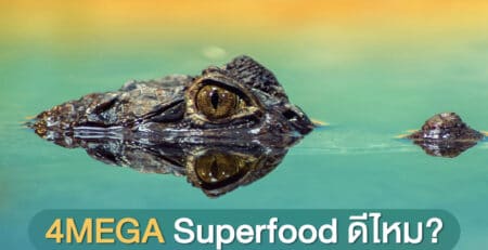 4MEGA Superfood ดีไหม