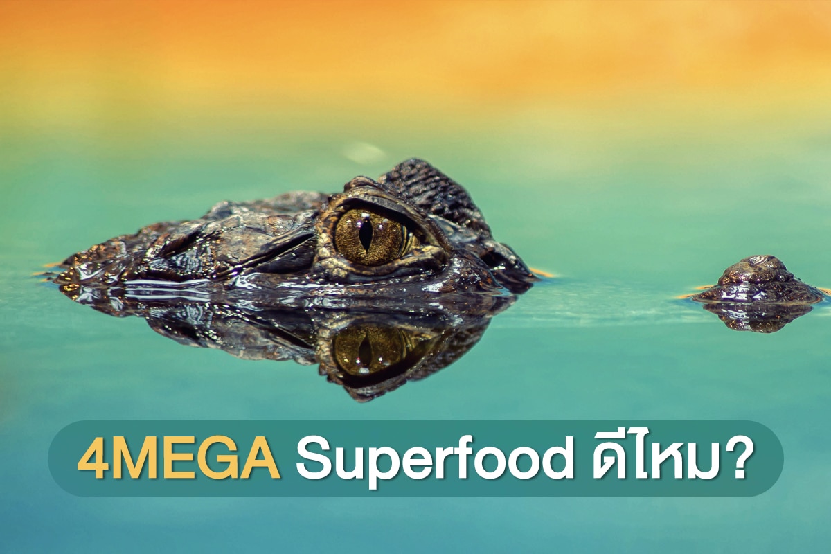 4MEGA Superfood ดีไหม