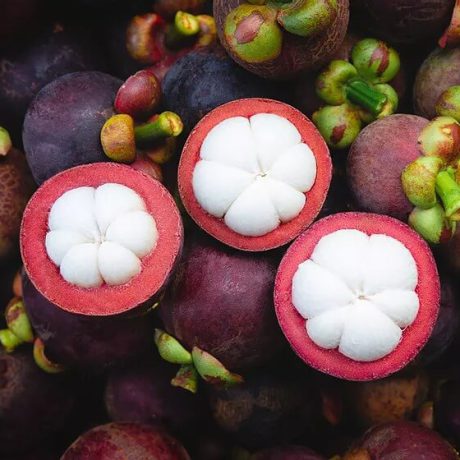 mangosteen